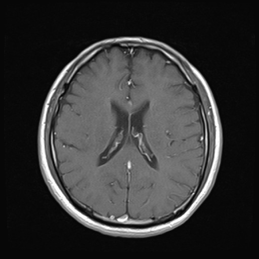 Click on the Serie image to view the images of VILLANUEVA, WILLIAM A.